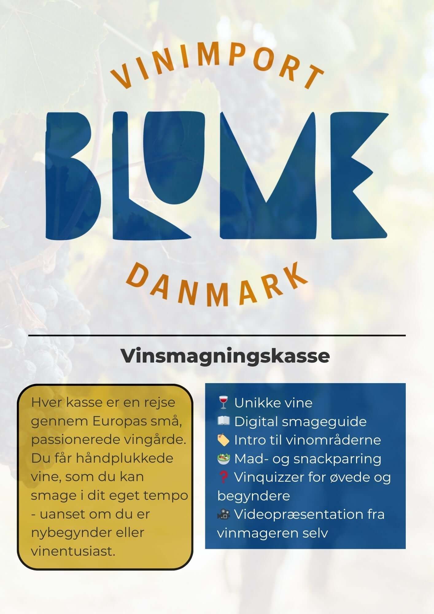 Vinsmagning: Det klassiske Østrig - Gilg vinsmagningskasse med unikke vine og smageguide.