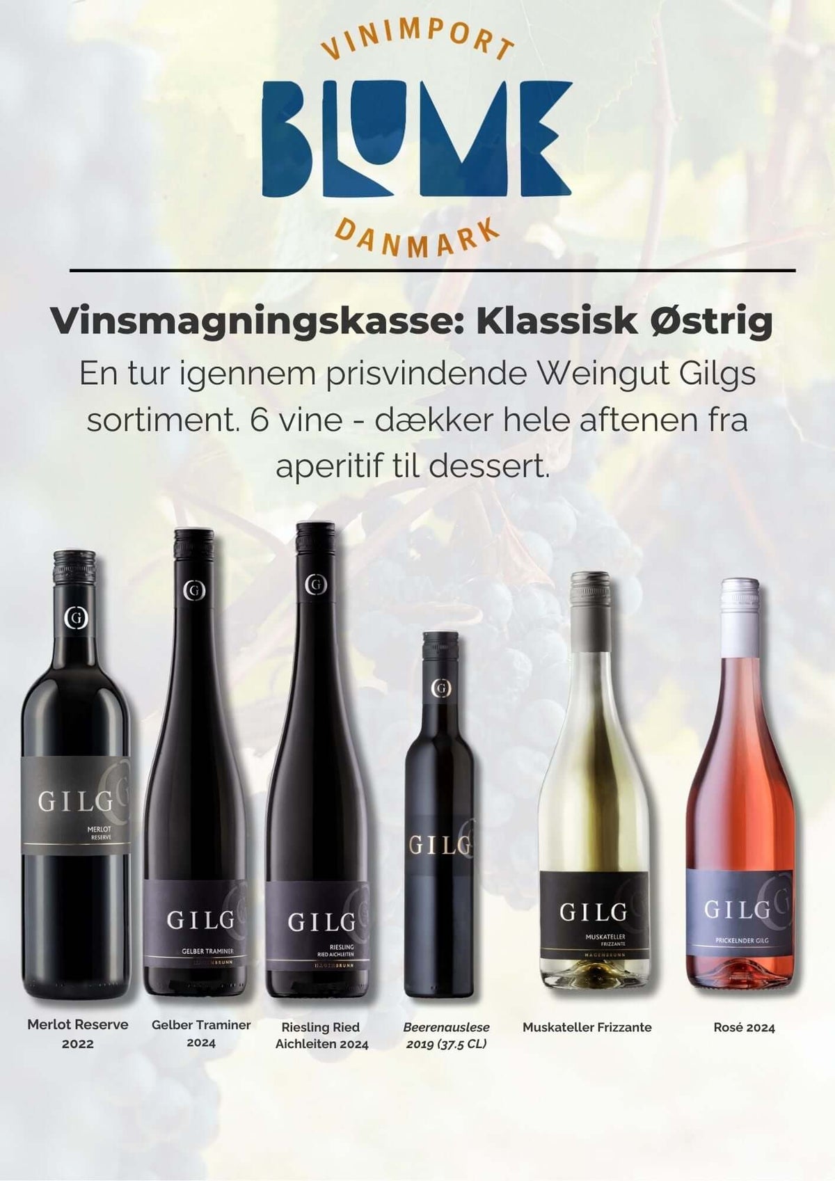 Vinsmagning: Det klassiske Østrig - blanding af 6 vine fra Weingut Gilg, inkl. Merlot og Riesling.