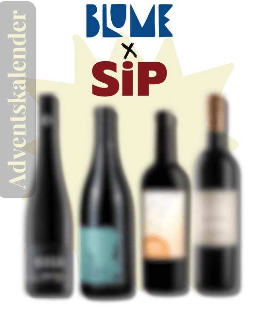 Blume x SIP Adventskalender 2025