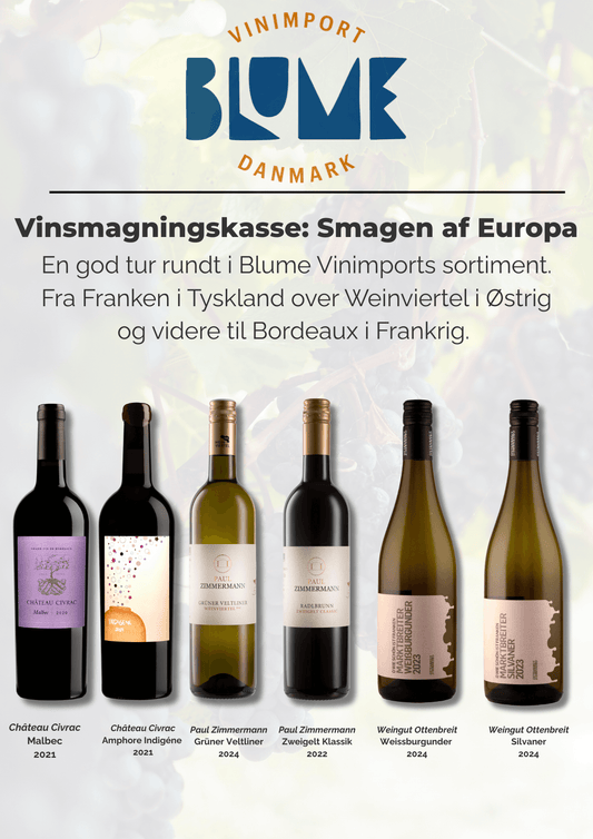 Vinsmagning: Smagen af Europa