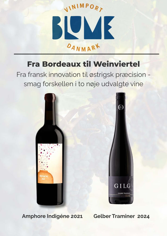 Vinsmagning: Introkassen