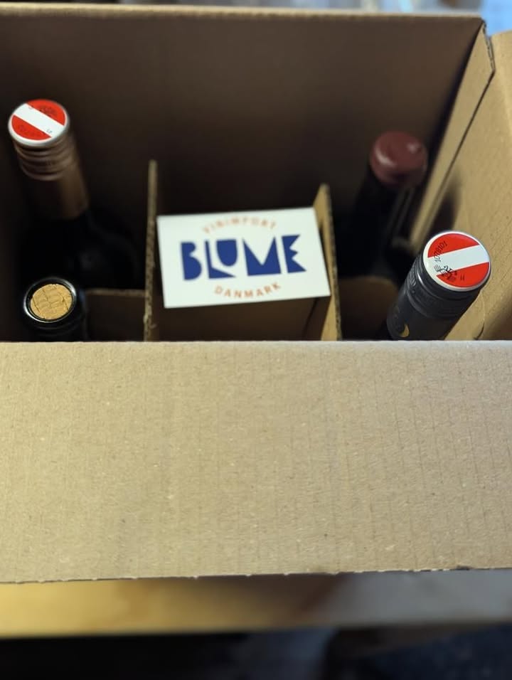 Blume x SIP Adventskalender 2025