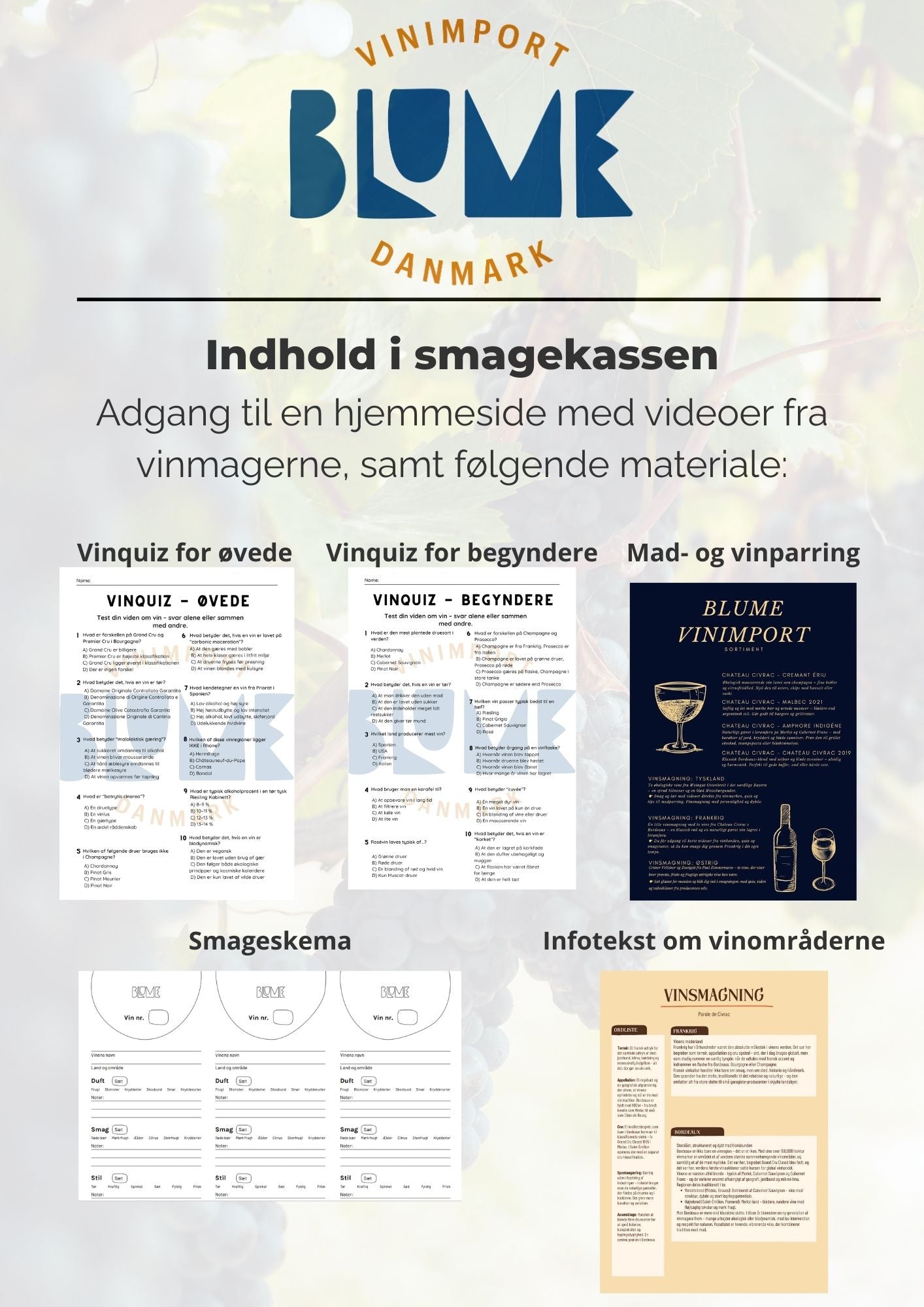 Vinsmagning hjemme med smageskema