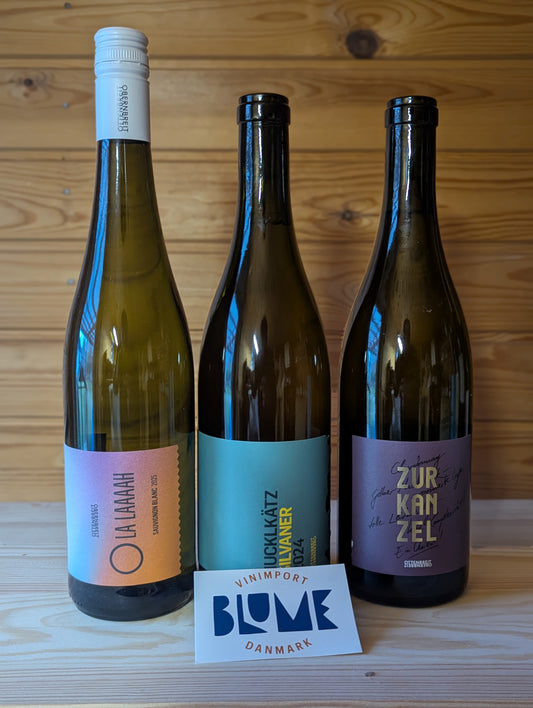 Vin for begyndere - Smagekasse: Franken med Ottenbreit (3 flasker)